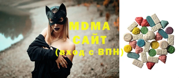 прущие грибы Медвежьегорск