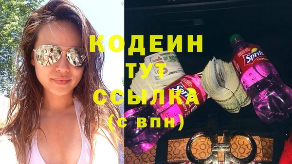 прущие грибы Медвежьегорск