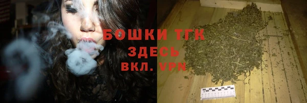 прущие грибы Медвежьегорск