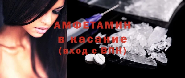 прущие грибы Медвежьегорск
