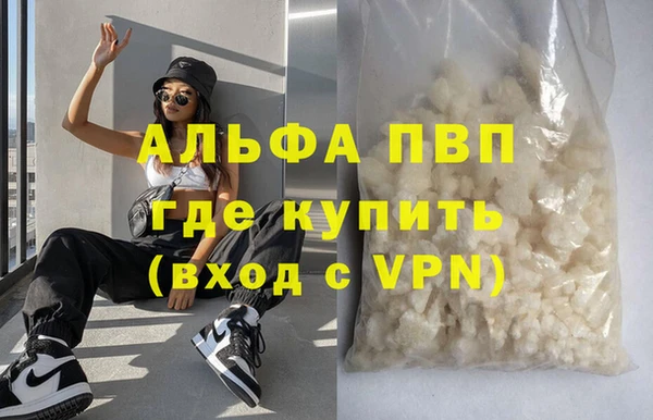 прущие грибы Медвежьегорск