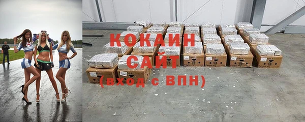 прущие грибы Медвежьегорск