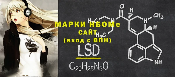 прущие грибы Медвежьегорск