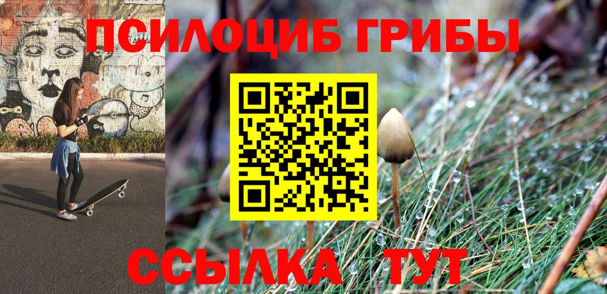 Белорецк  Галлюциногенные грибы мицелий  Вход с VPN  Галлюциногенные грибы прущие грибы 