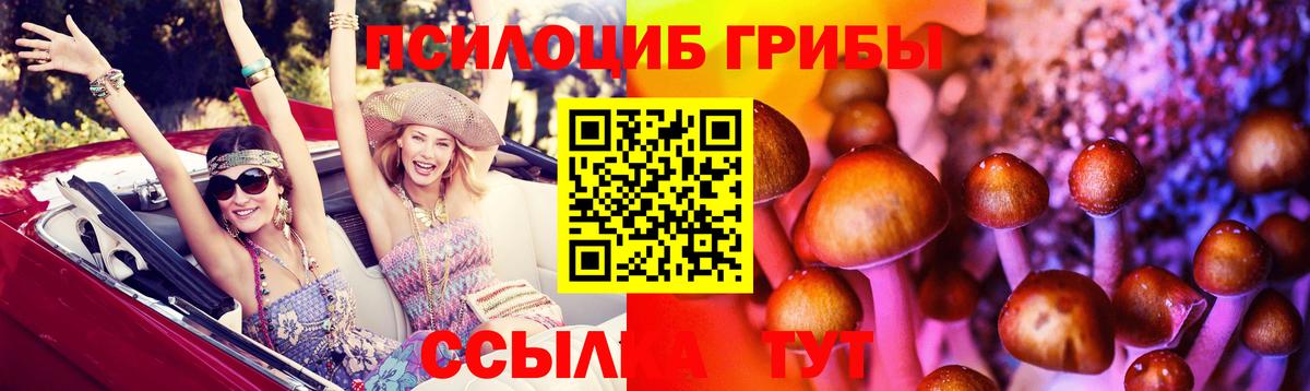 Галлюциногенные грибы Белорецк